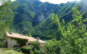 Le Mont D'Olivine